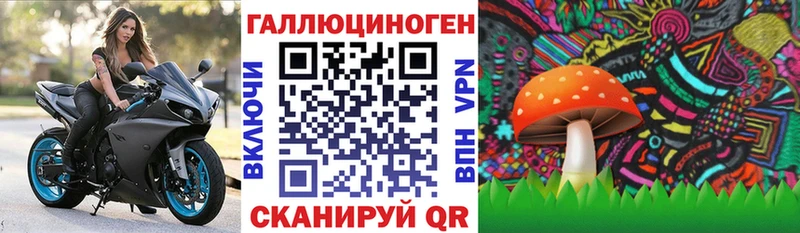 Псилоцибиновые грибы Psilocybine cubensis  наркота  Малоархангельск 